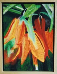 fritillaria