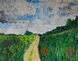 Drents landschap 2010