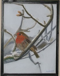roodborstje in de sneeuw