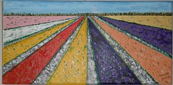 Bollenveld