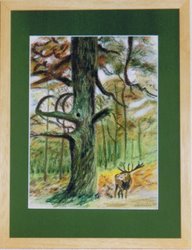 ree in het bos