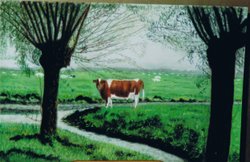 Zoeterwoude