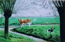 Hollands landschap