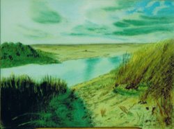 Texel