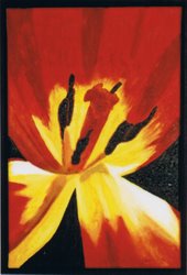 open tulp