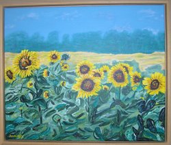 veld met zonnebloemen
